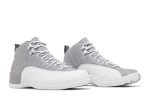 Air Jordan 12 ‚Stealth‘ CT8013-015
