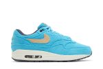 Nike Air Max 1 PRM ‚Baltic Blue‘ FB8915-400  Wabasta store