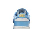 Nike Dunk Low ‚Coast‘ DD1503-100