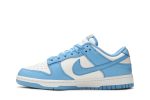 Nike Dunk Low ‚Coast‘ DD1503-100