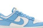Nike Dunk Low ‚Coast‘ DD1503-100