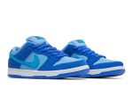 Nike SB Dunk Low ‚Blue Raspberry‘ DM0807-400