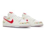 Nike SB Dunk Low Decon ‚N7 White Red‘ FD6951-700