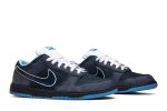Nike SB Dunk Low Premium ‚Blue Lobster‘ 313170-342