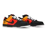 Nike SB Dunk Low Pro ‚Raygun Away‘ 304292-803