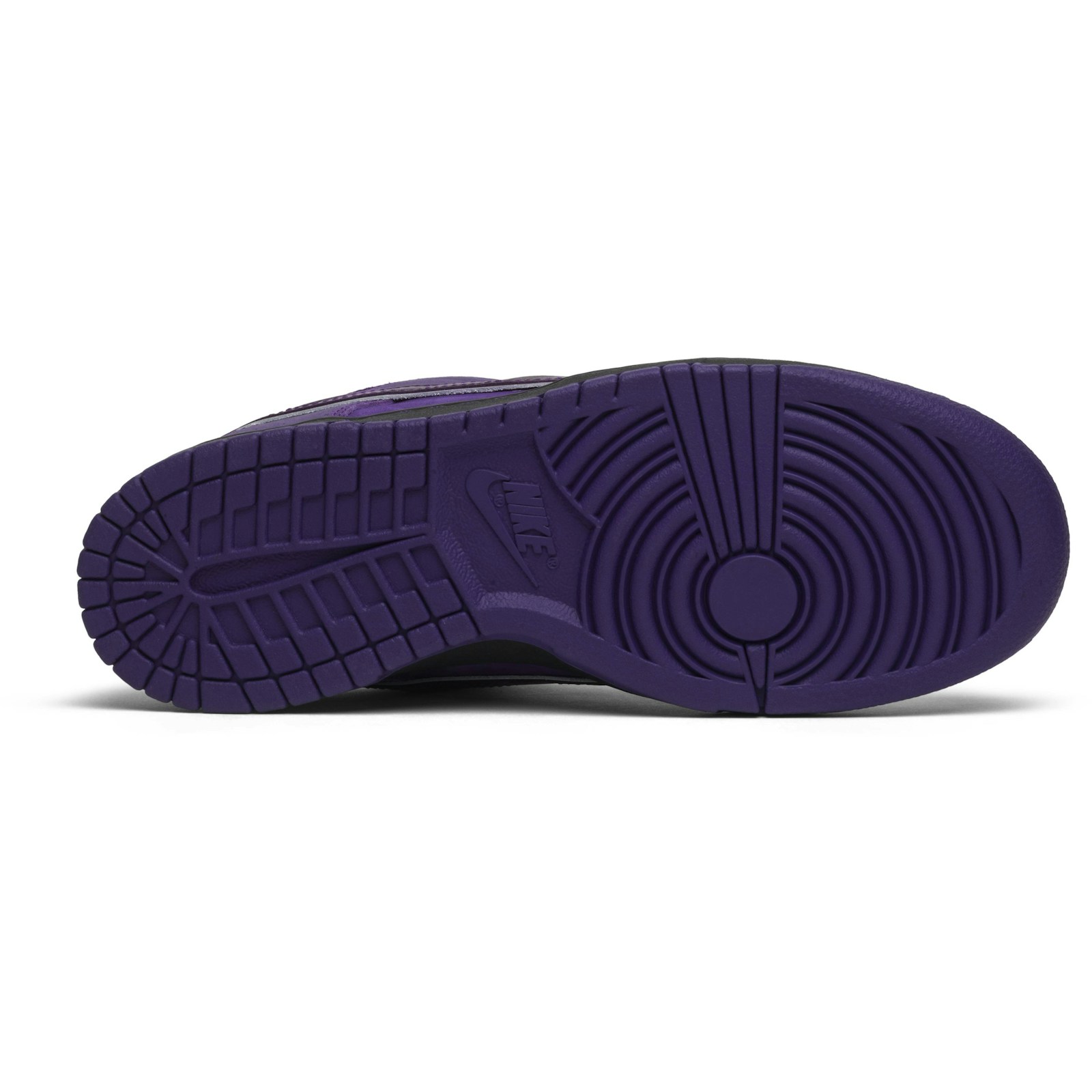 concepts_x_nike_sb_dunk_low__purple_lobster__bv131_3_1663.jpeg
